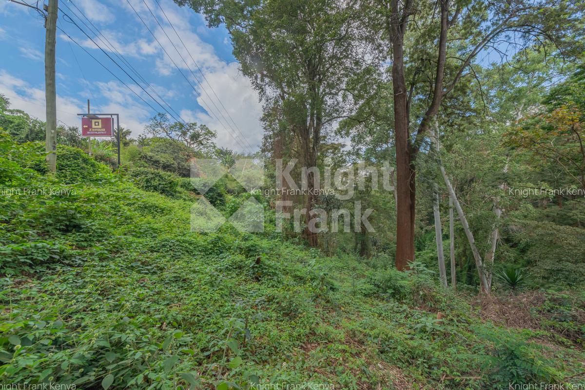 0.49 ac Land at Kitisuru Road - 8