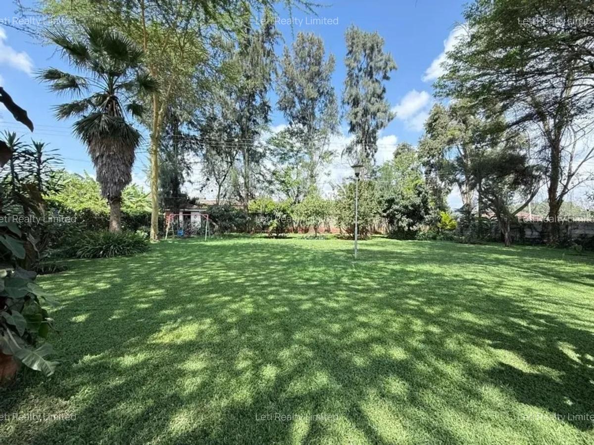 Commercial Property with Backup Generator in Lavington - 2