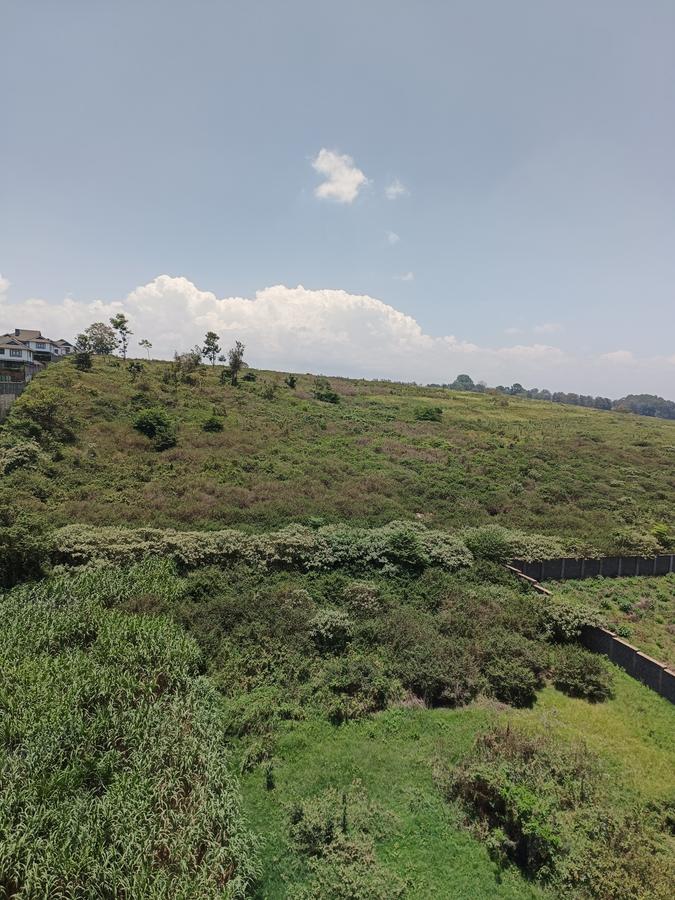 0.5 ac Land at Along Kiambu Road - 3