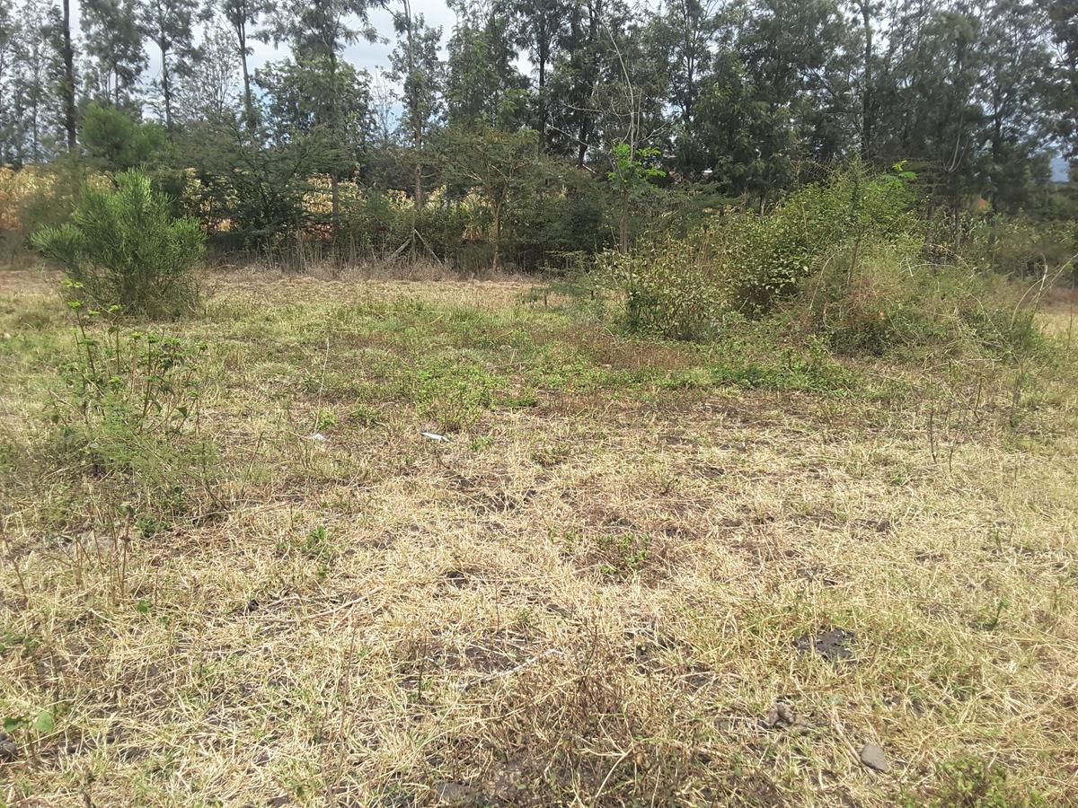 0.125 ac Residential Land in Ongata Rongai - 11