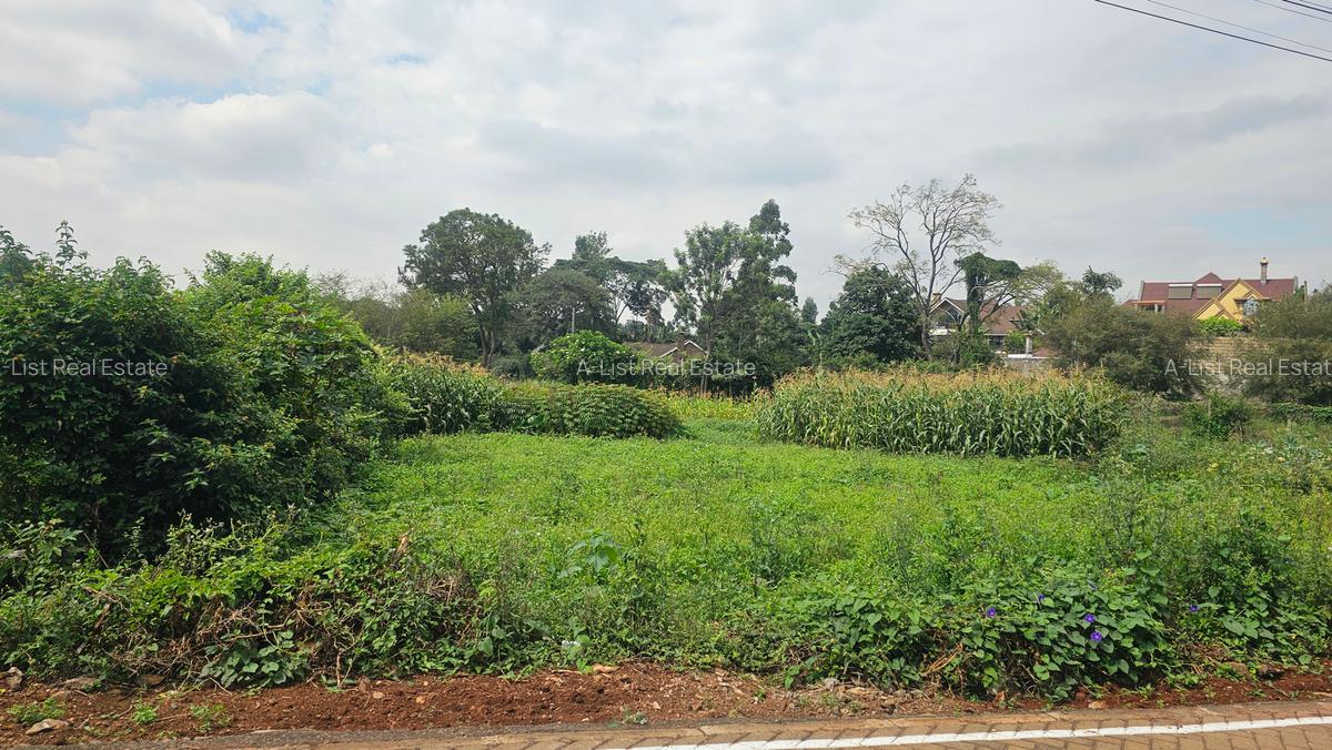 0.365 ac Land at Mushroom Road - 8