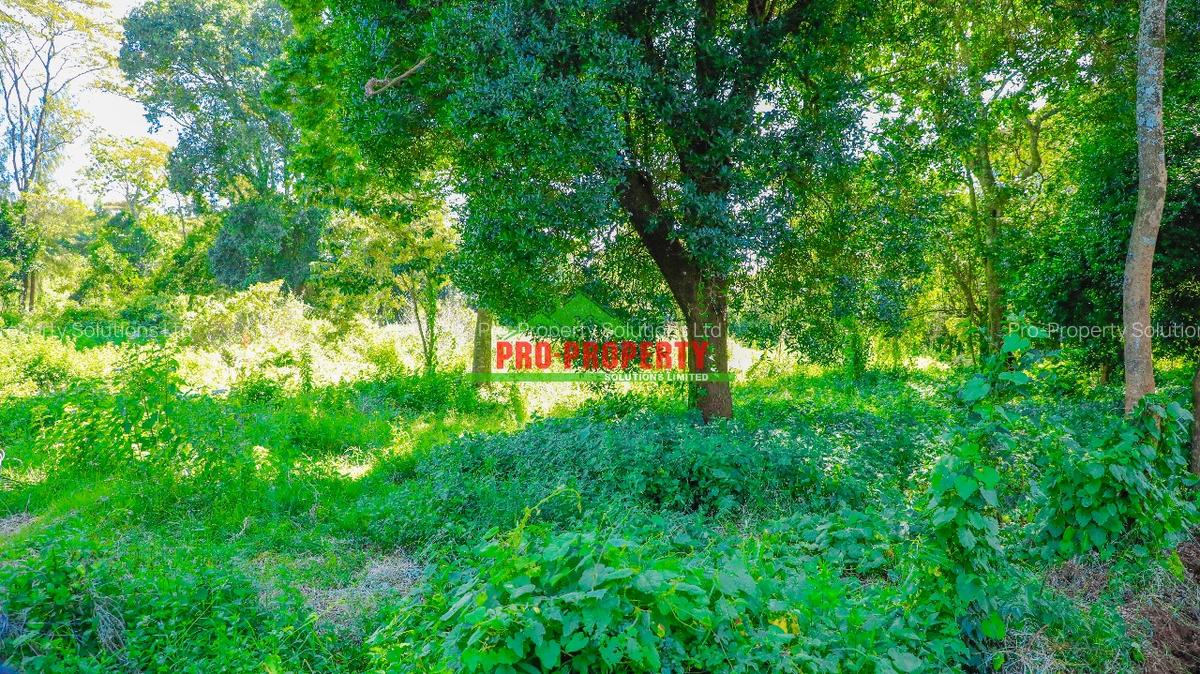 0.2 ha Residential Land at Ondiri - 5