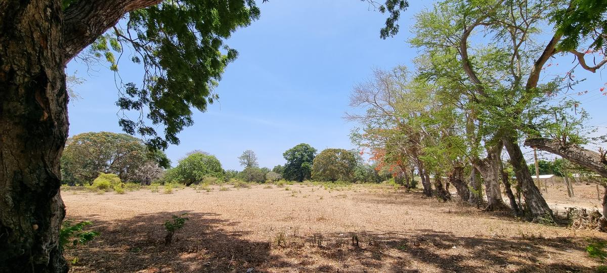 75 ac Land at Vipingo - 4