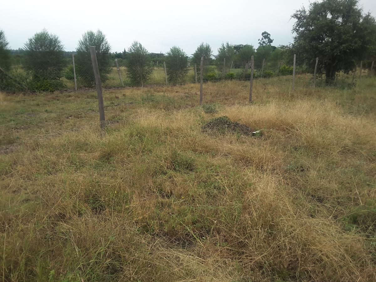 0.125 ac Residential Land in Ongata Rongai - 3