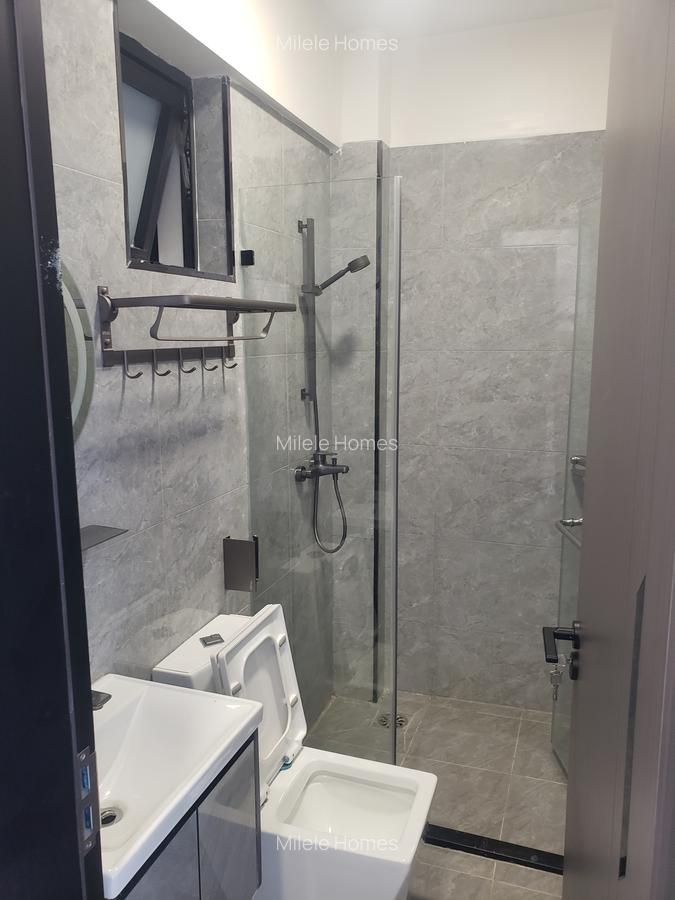 Serviced 2 Bed Apartment with En Suite at Mararo Road - 20