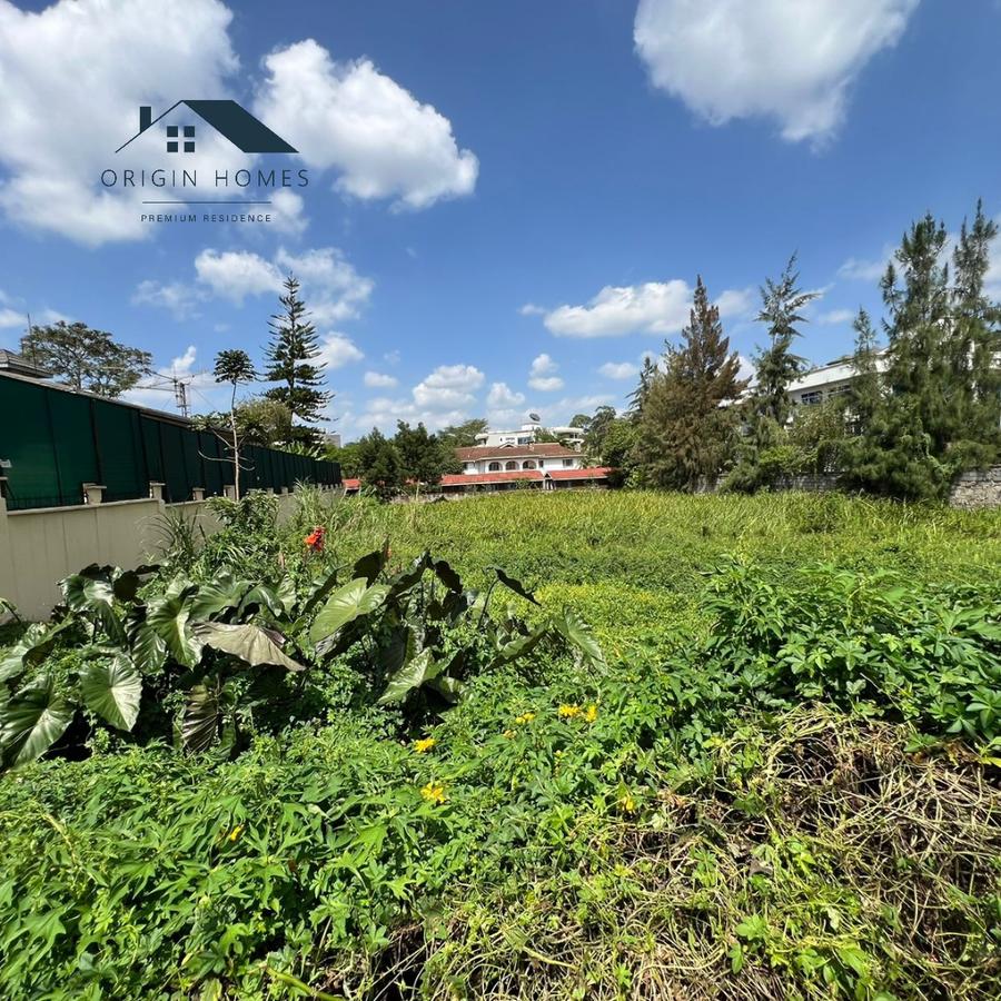 0.5 ac Land at Un Avenue - 4