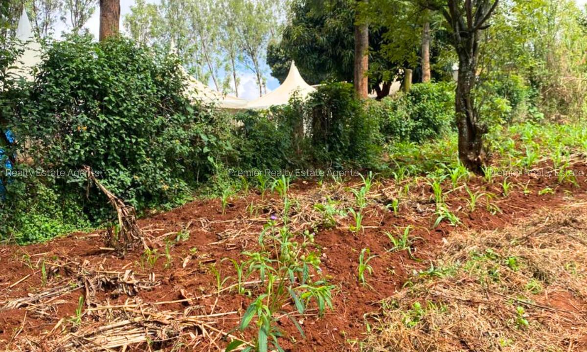 1 ac Land at Muchatha - 1