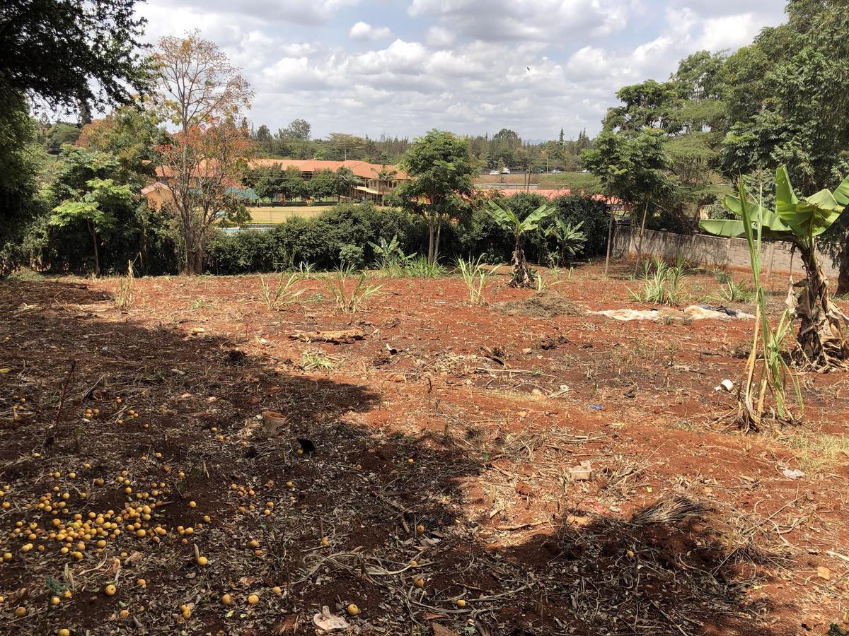 Residential Land in Runda - 3