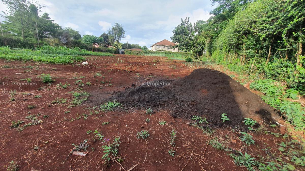 4,046 m² Residential Land in Runda - 8