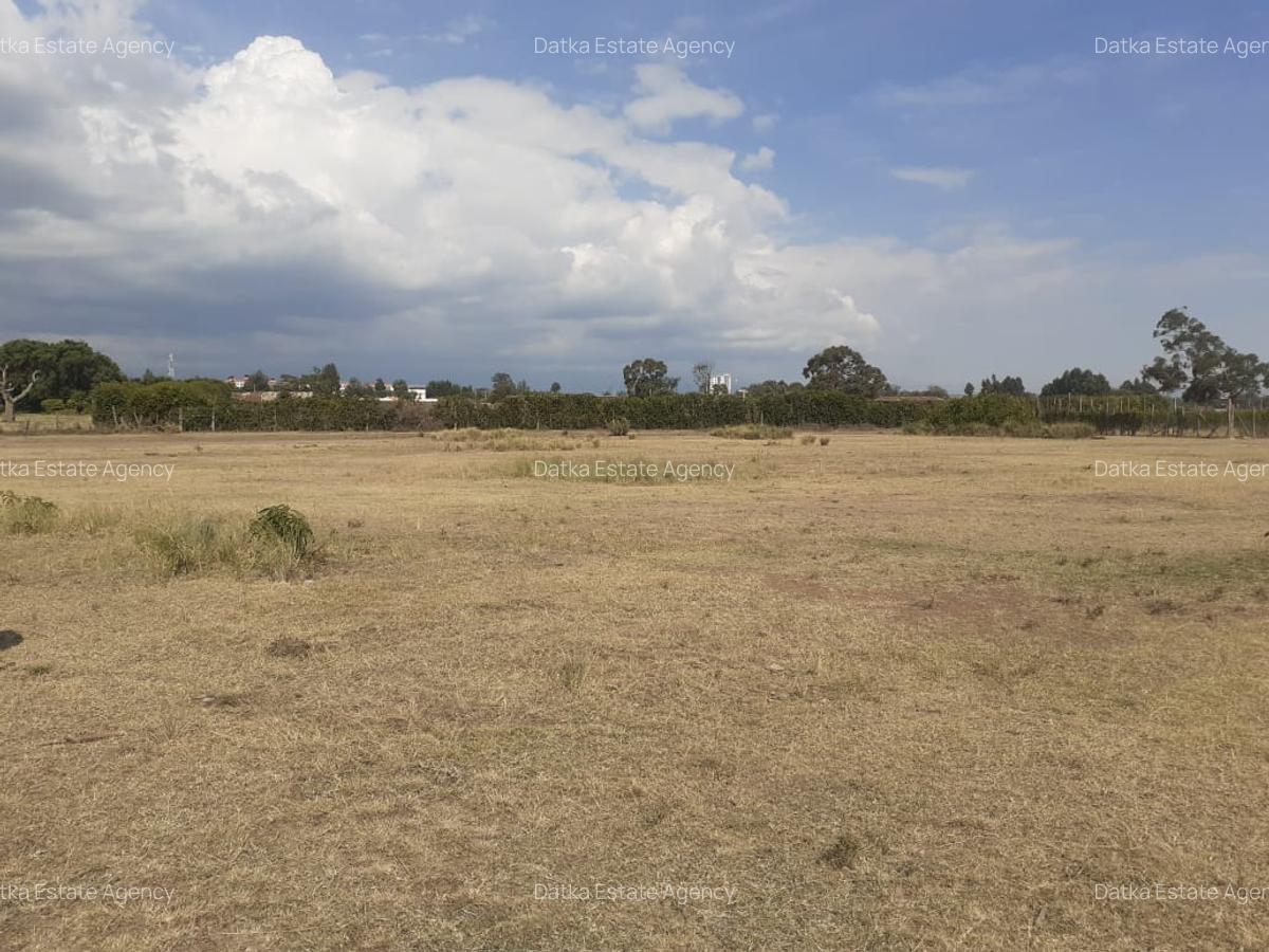 0.125 ac Land in Nanyuki - 8