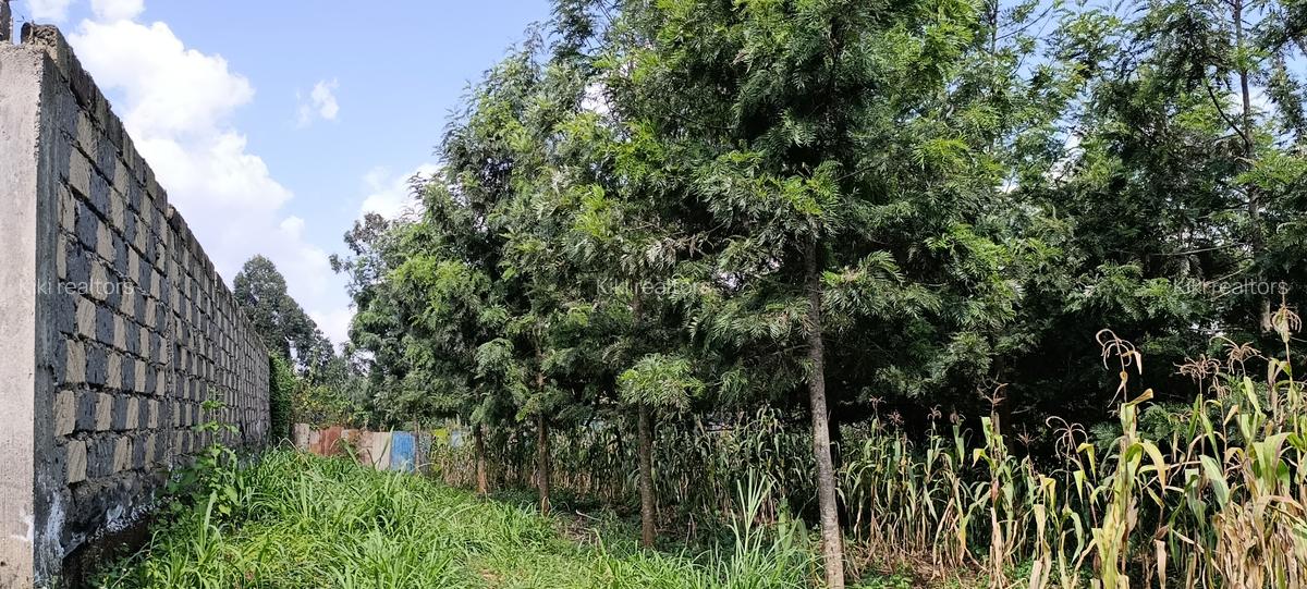 Residential Land in Kikuyu Town - 9