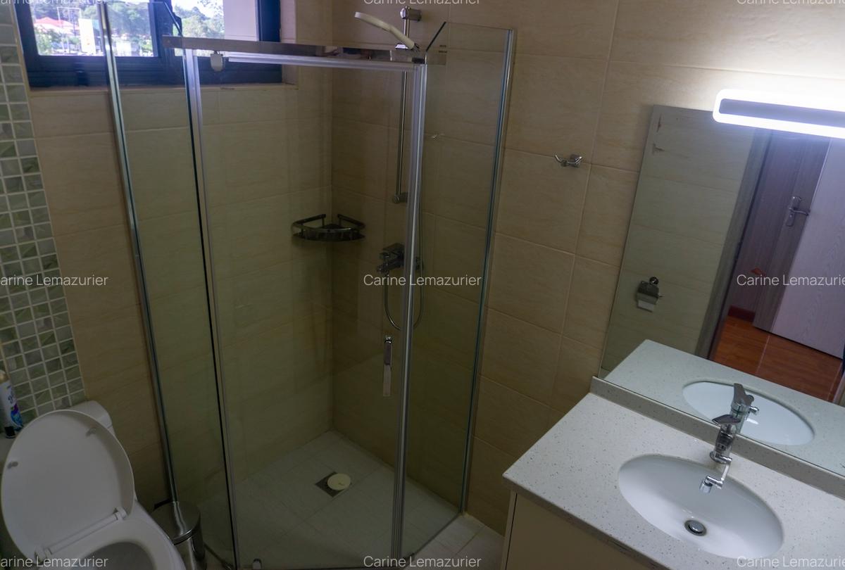 Furnished 3 Bed Apartment with En Suite at Denis Pritt Road - 14