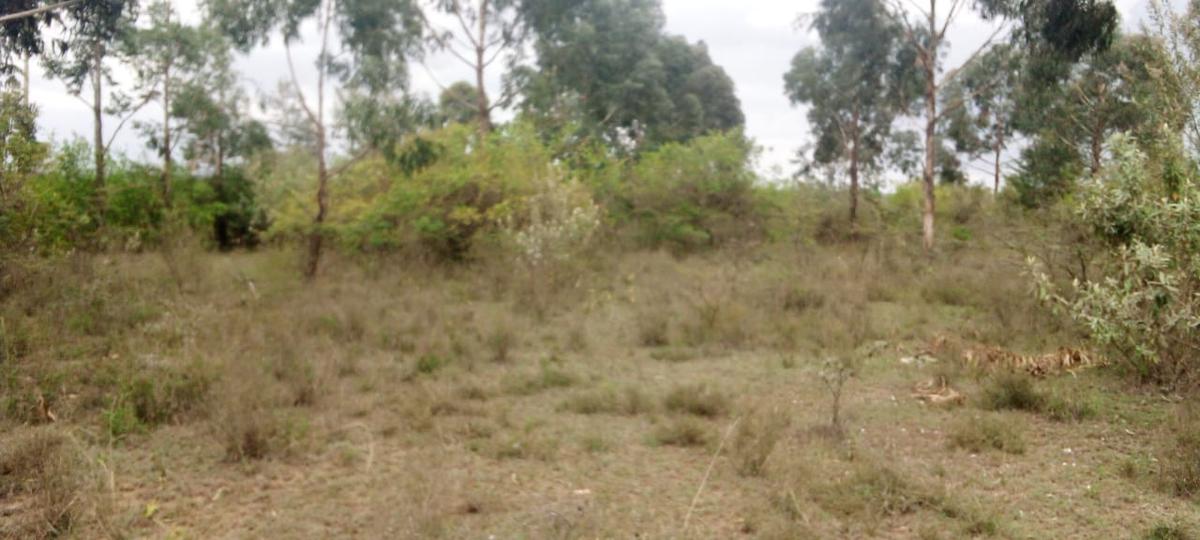 0.125 ac Commercial Land at Karai Estate - 4