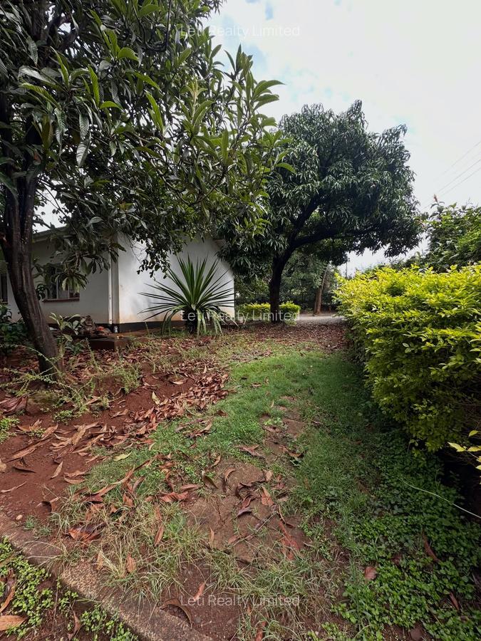 Commercial Property with Fibre Internet in Riverside - 3