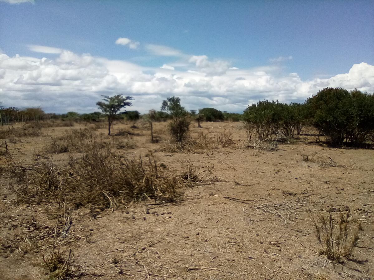 Land at Nanyuki - 18