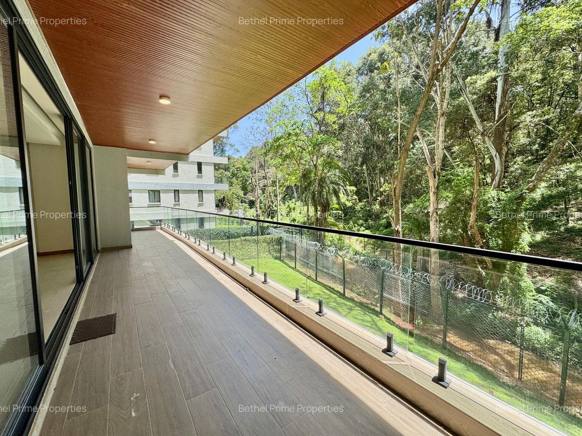 4 Bed Apartment with En Suite in Spring Valley - 14