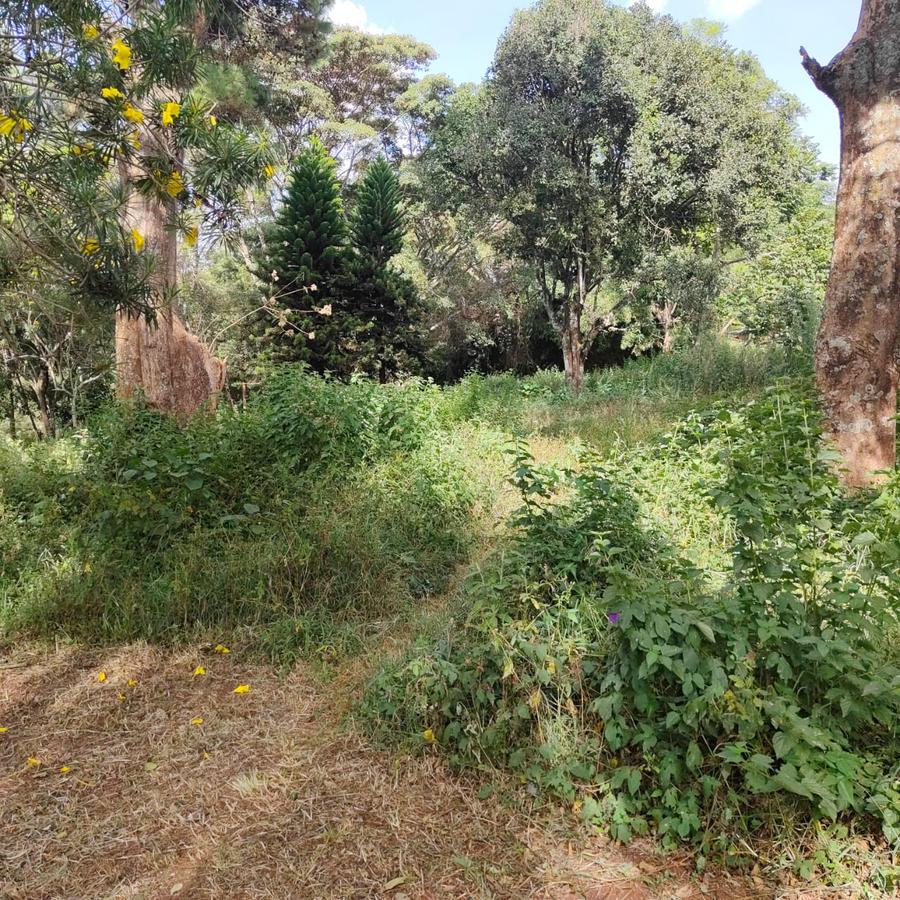 4.1 ac Land at Farasi Lane - 13