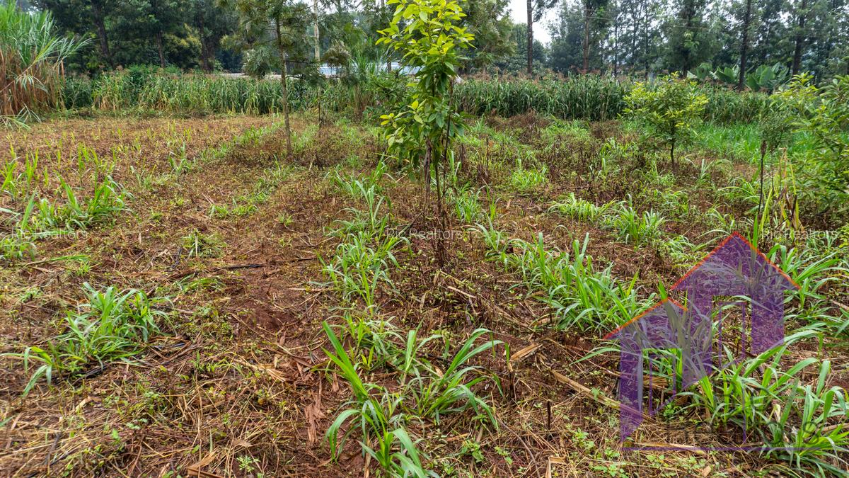 0.5 ac Land at Karen Road - 1