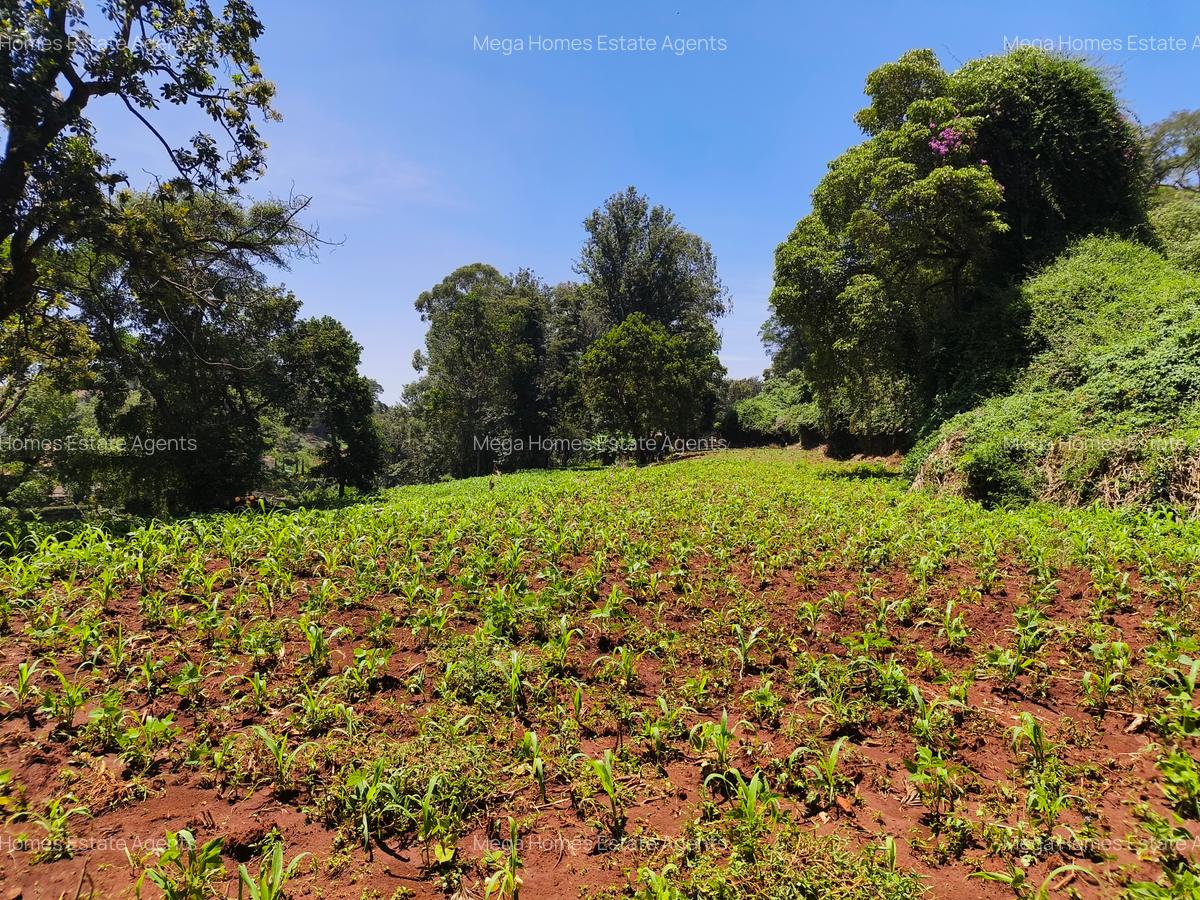 Land in Kitisuru - 6