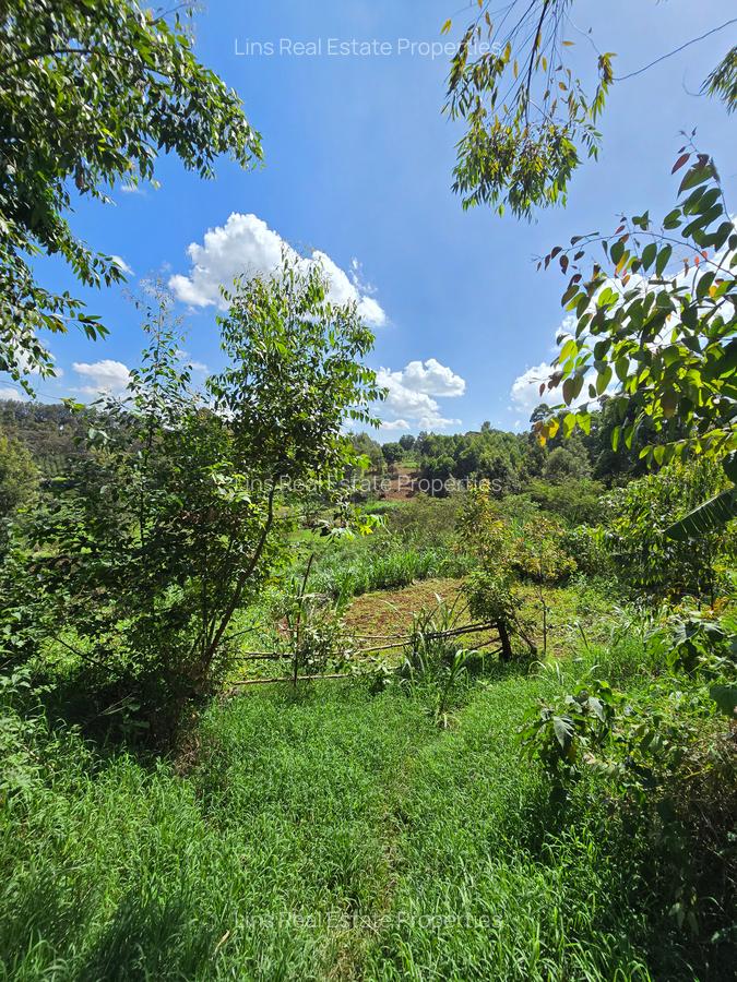 Residential Land in Kitisuru - 9