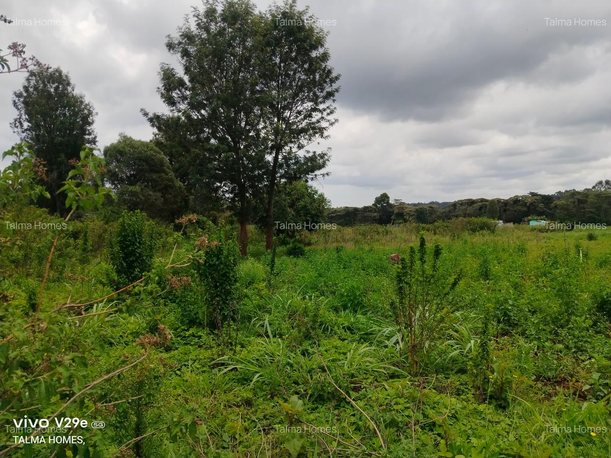 1 ac Land at Kerarapon Drive - 1