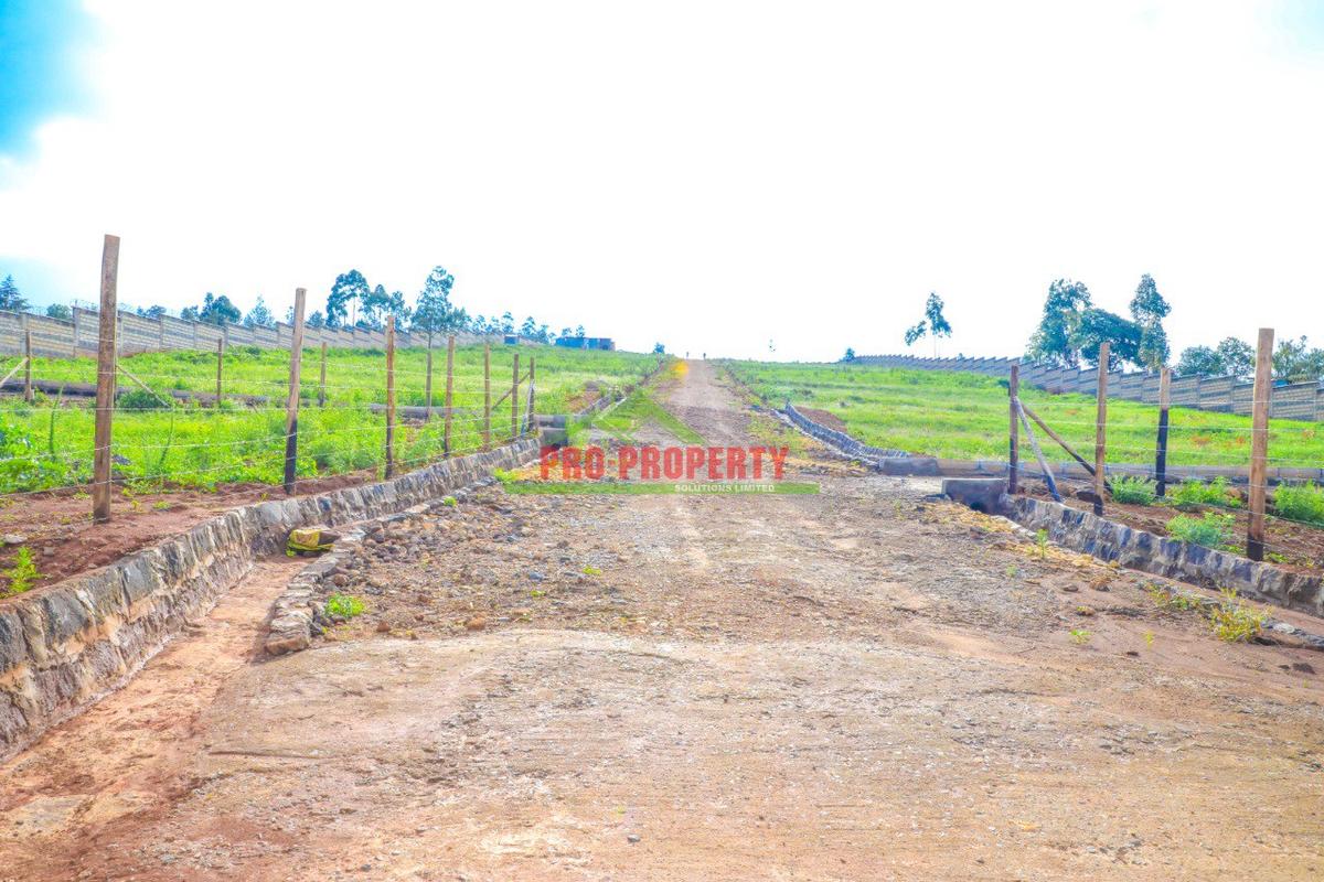 0.05 ha Residential Land at Lusingetti - 15