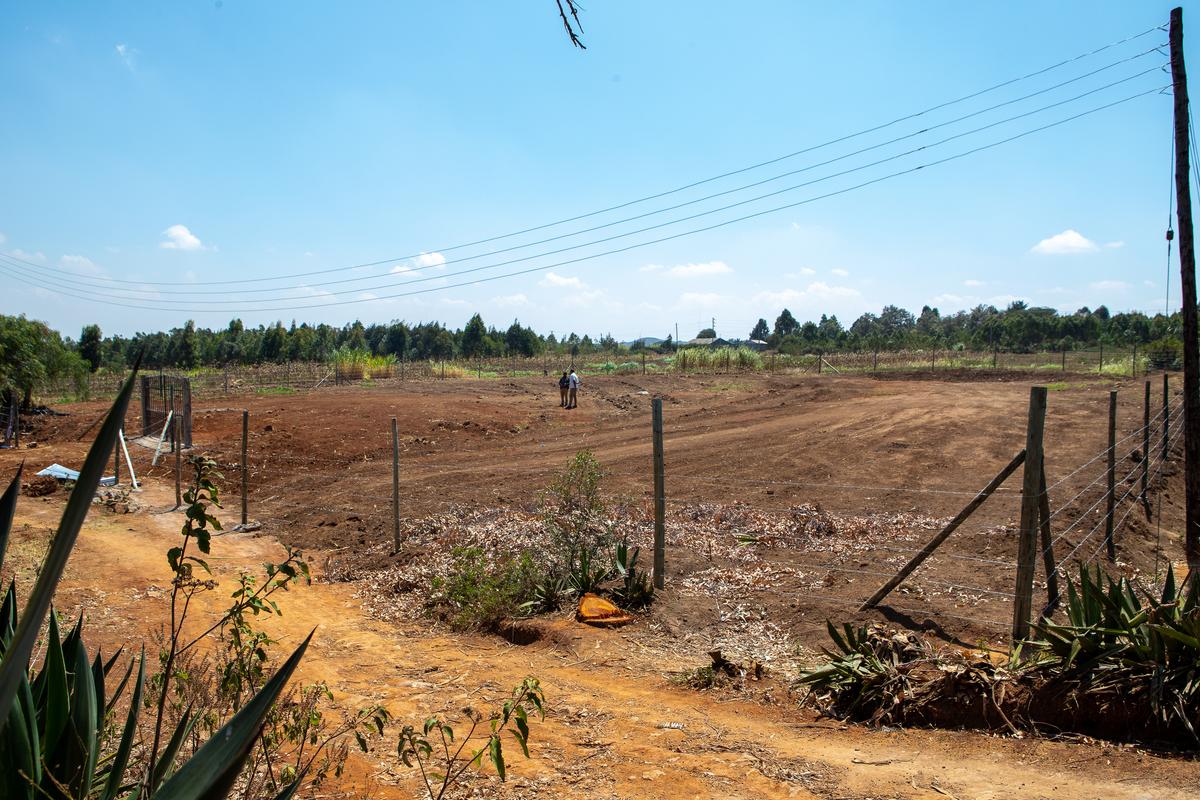 5,000 ft² Land at Thigio - 8