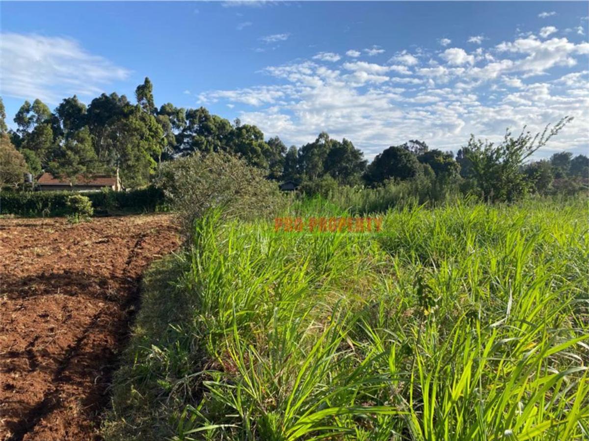 6,000 m² Land in Limuru - 4