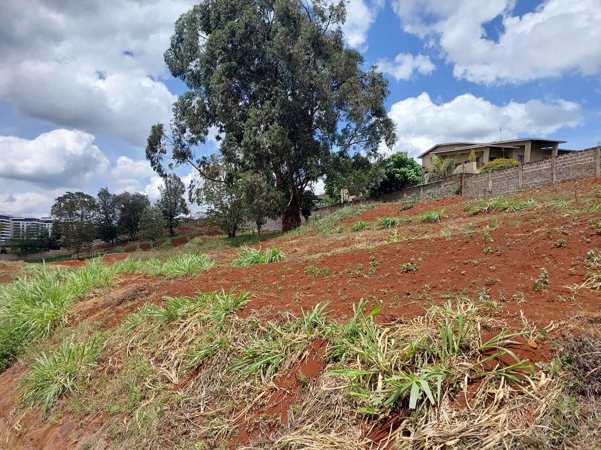 Residential Land at Rosslyn Valley - 8