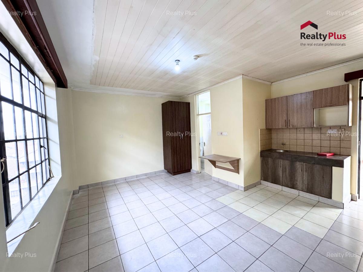 Bedsitter at Maai Mahiu Road - 9