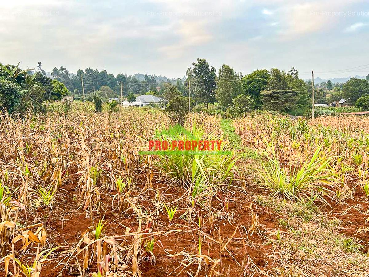 0.05 ha Residential Land in Kamangu - 10