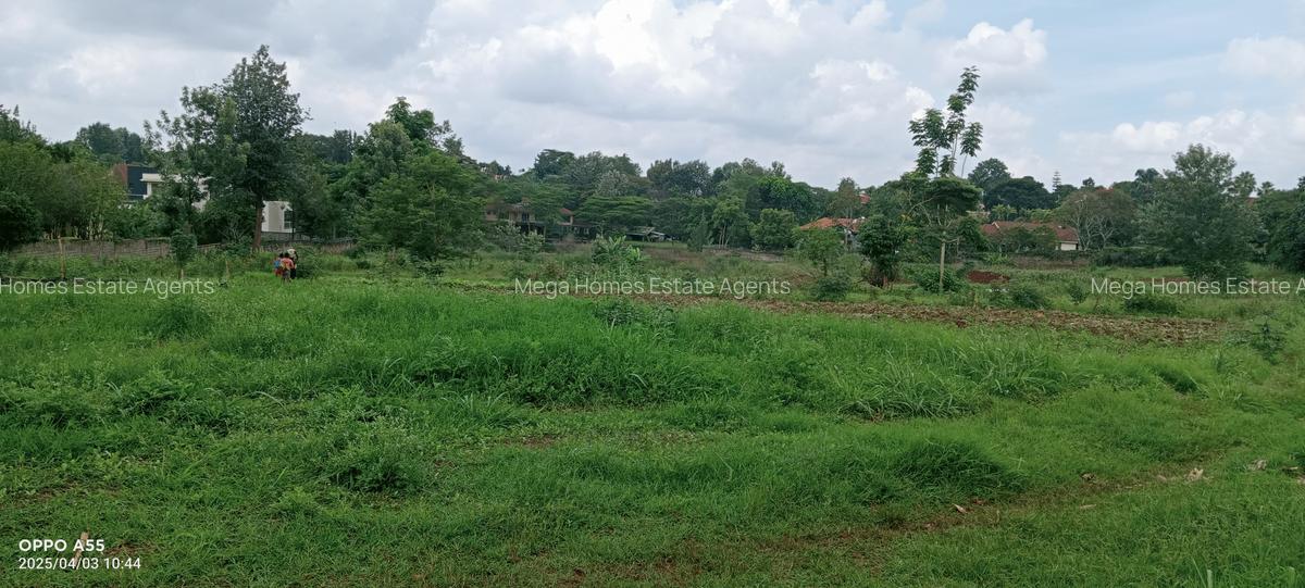 2 ac Land in Runda - 6