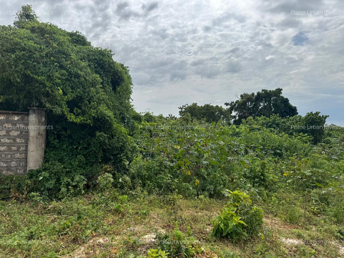 10 ac Land in Vipingo - 13