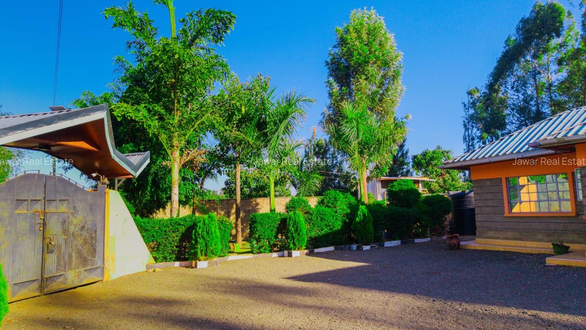 3 Bed House with En Suite at Kenol Kimorori - 4