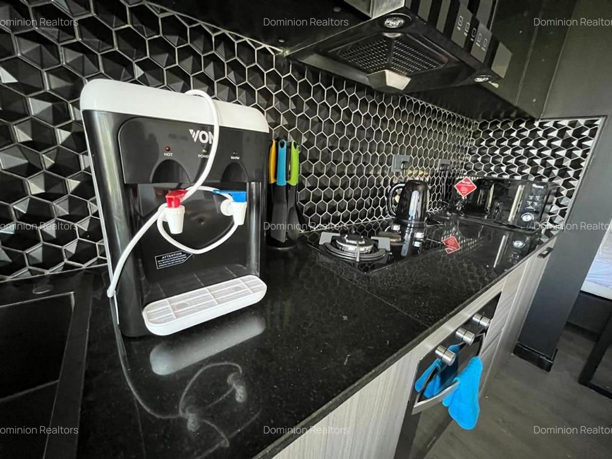 Furnished Studio Apartment with En Suite at Off Raphta Road - 7