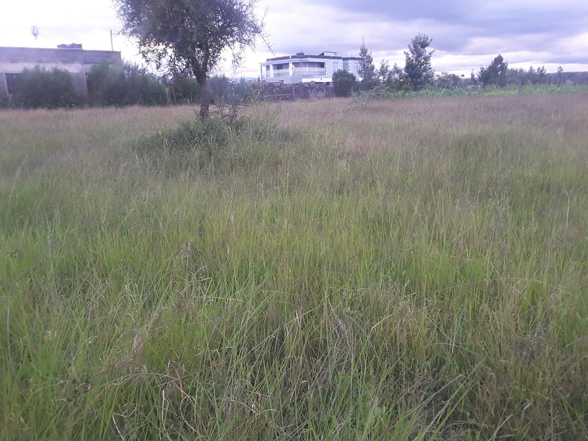 0.113 ac Residential Land in Ongata Rongai - 1