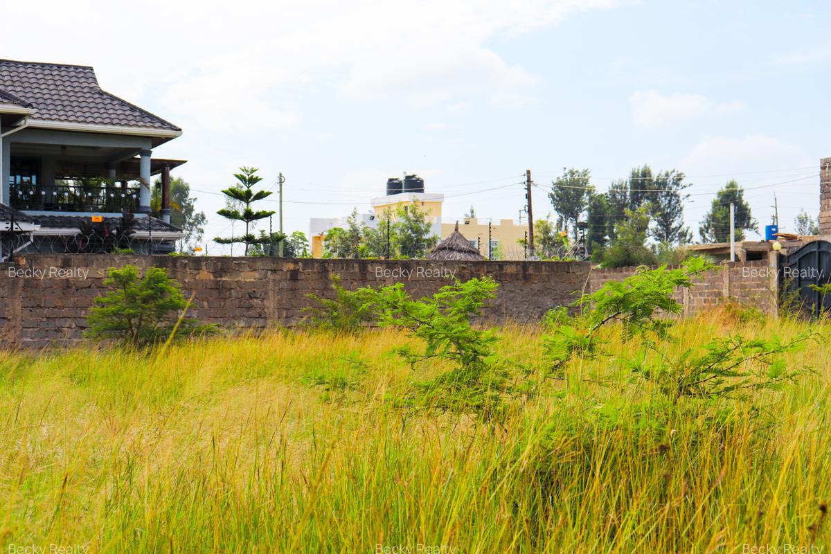 0.125 ac Land at Kenyatta Road - 4