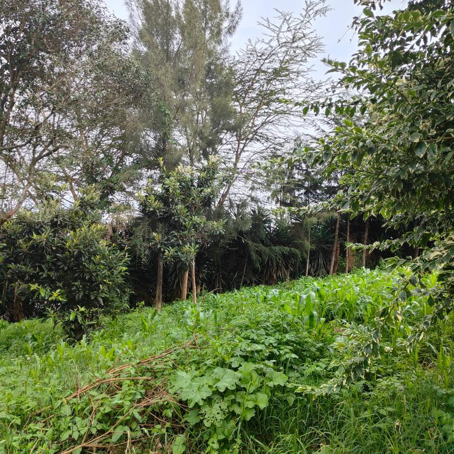 1 ac Land at Ngong - 5