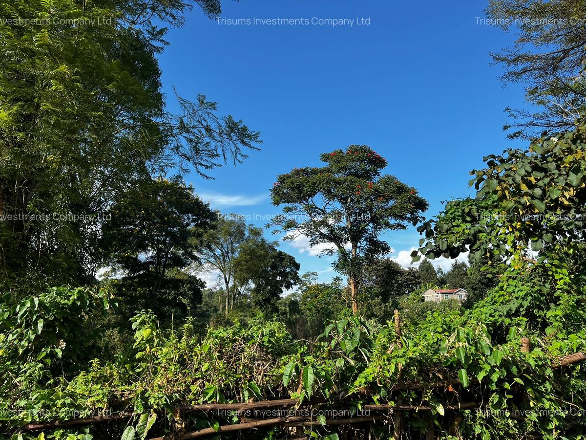 10 ac Land in Banana - 1