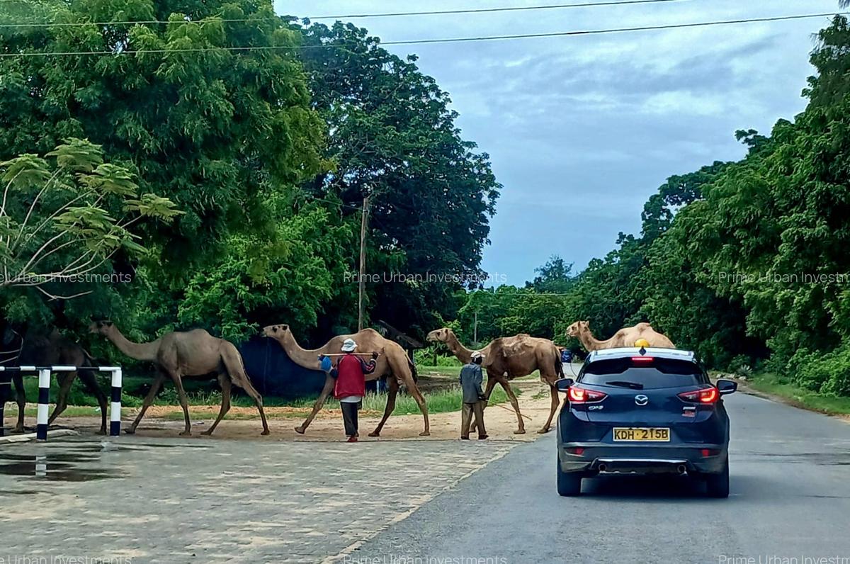 8 Bed House with En Suite in Diani - 10