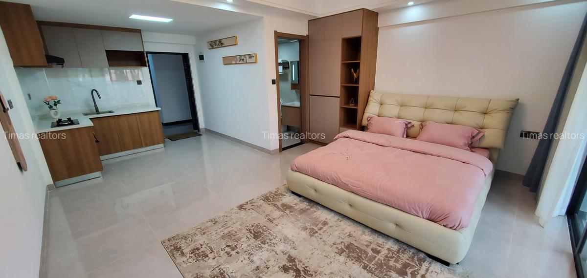 Serviced Studio Apartment with Swimming Pool at Syokimau - 3