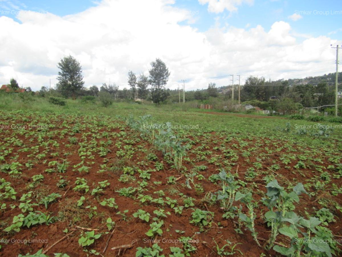 4.5 ac Land at Kibiko - 5