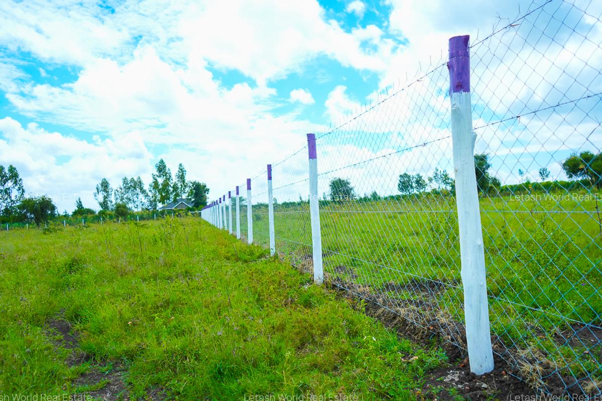 Residential Land in Naivasha - 6