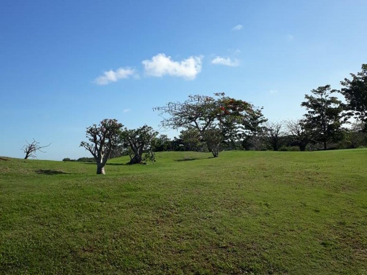 3,035 m² Land at Vipingo - 1