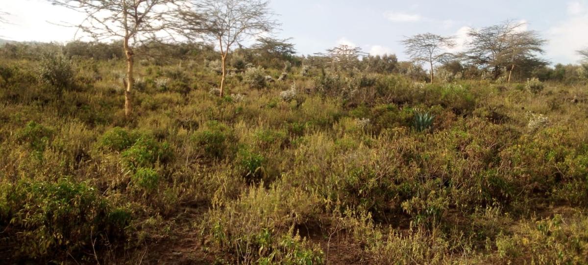 1 ac Land at Mai Mahiu - 6