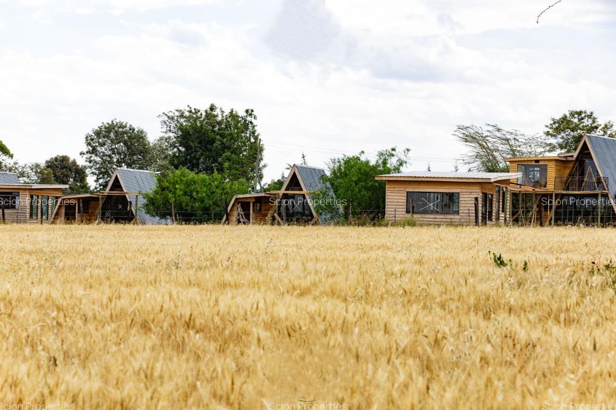 0.125 ac Residential Land in Nanyuki - 8