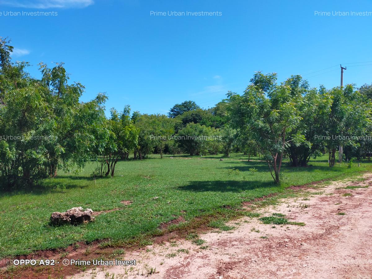 Land in Vipingo - 14