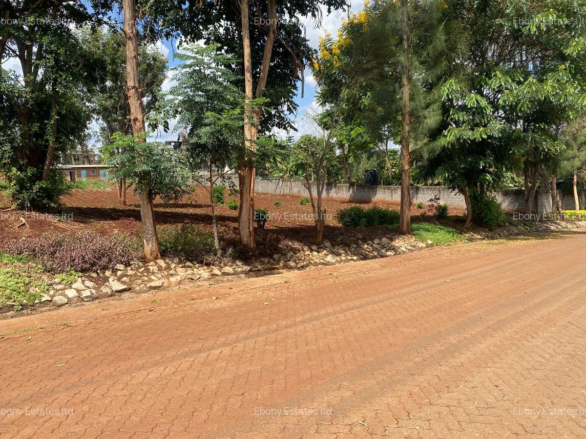 Residential Land in Tatu City - 4