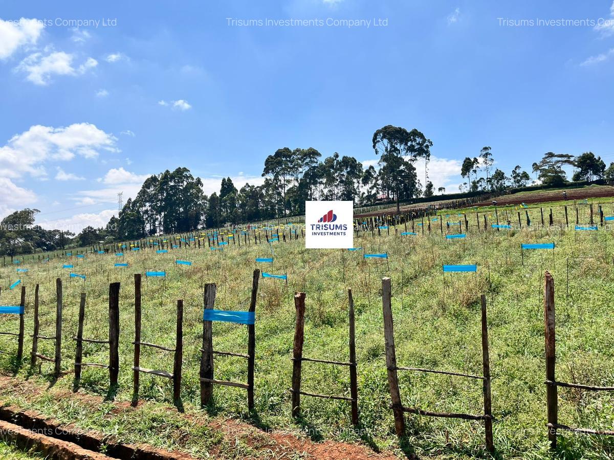 16.5 ac Land in Tigoni - 11