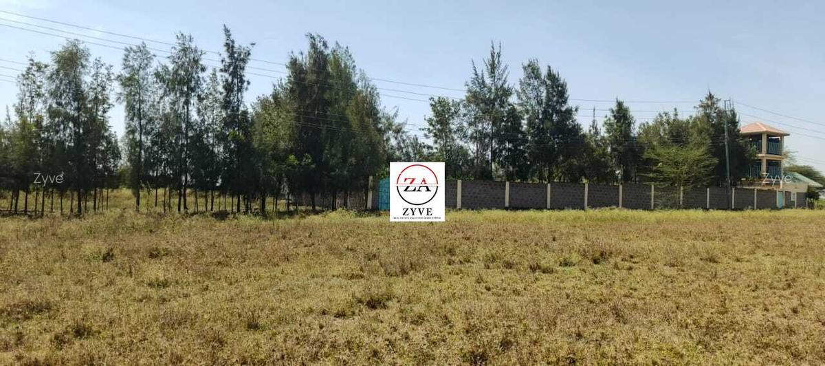 0.25 ac Land at Enkasiti - 6